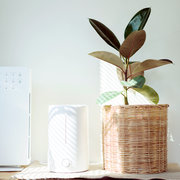 Do Air Purifiers Actually Work?