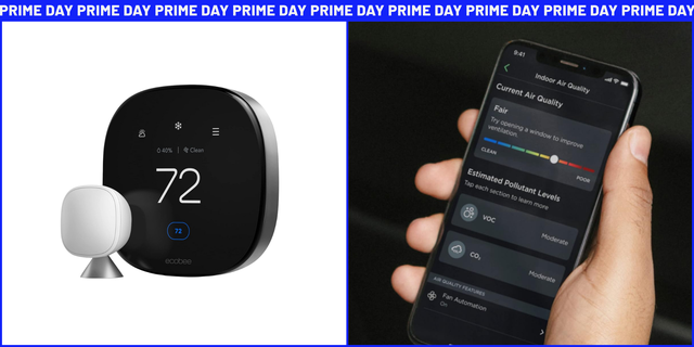 smart thermostat and air quality monitor displayed side by side