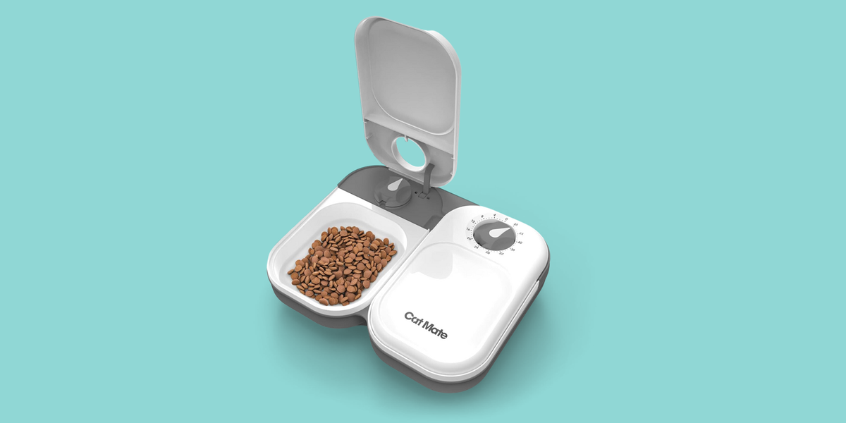 8 Best Automatic Cat Feeders