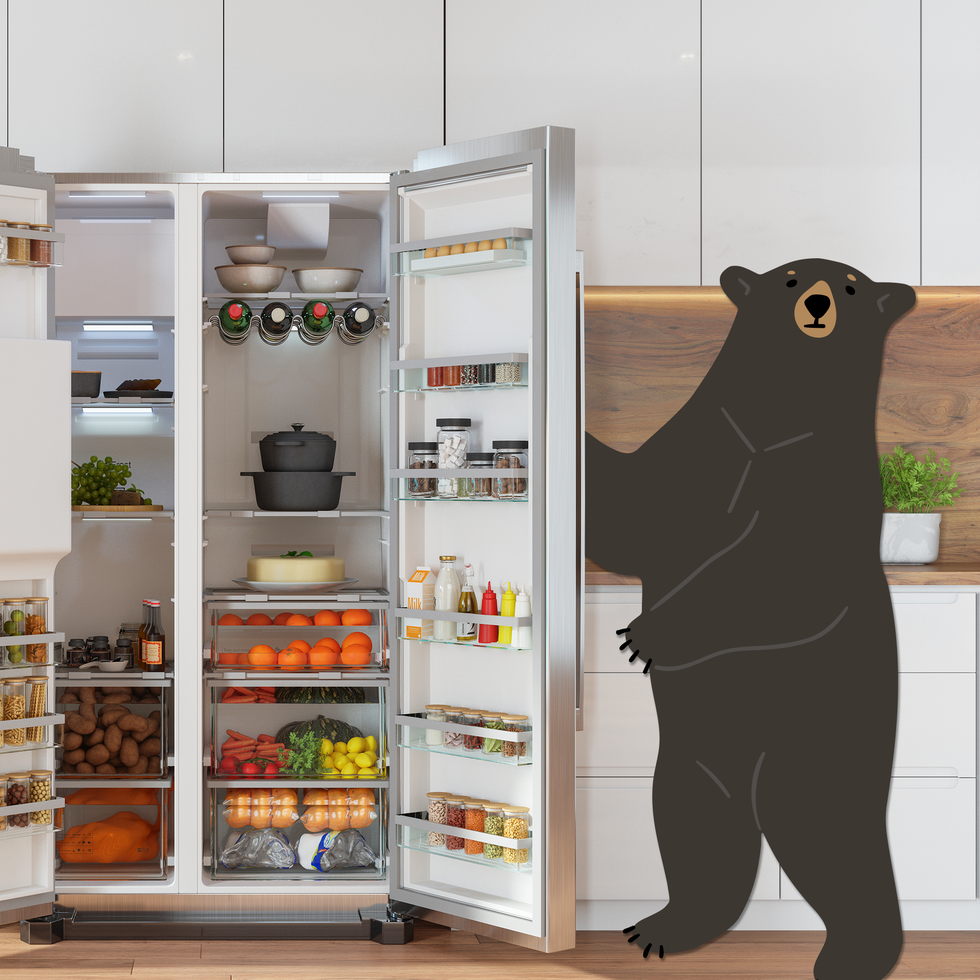illustration of bear looking into a refrigerator