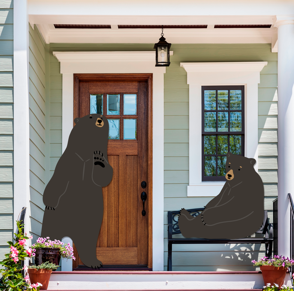 bears in the suburbs