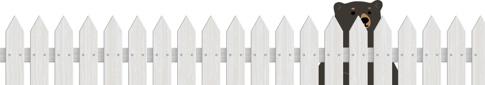 a wooden fence hiding a bear