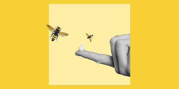what is bee sting therapy experts weigh in