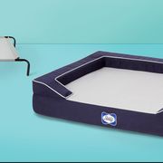 Best Cooling Dog Beds of 2020, According to Reviewers