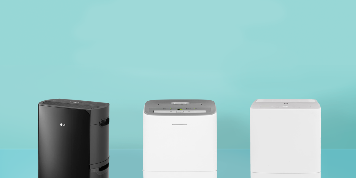 The 4 Best Portable Dehumidifiers of 2024, Tested and Reviewed