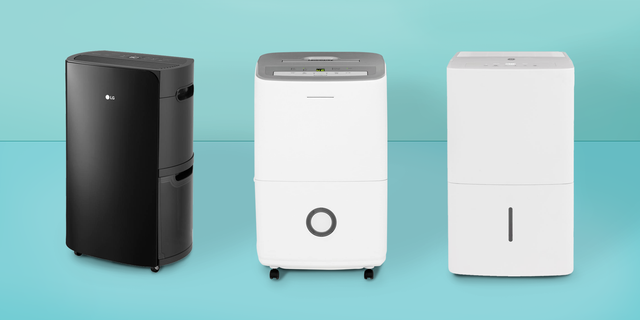 5 Best Dehumidifiers Of 2023, Tested By Experts