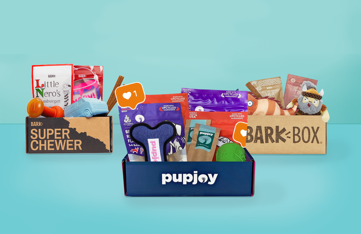 Best monthly dog box sale