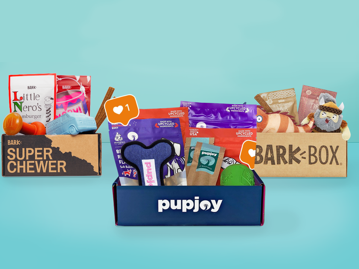 Goody Box Halloween Dog Toys & Treats, Medium/Large