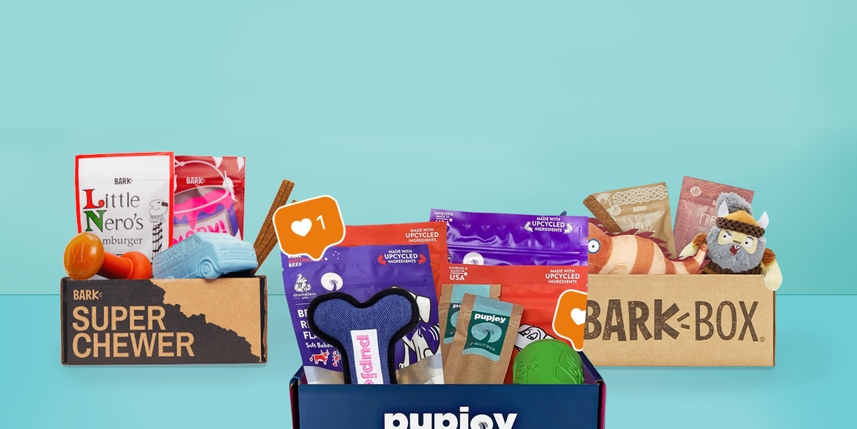 The Best Dog Subscription Boxes  
