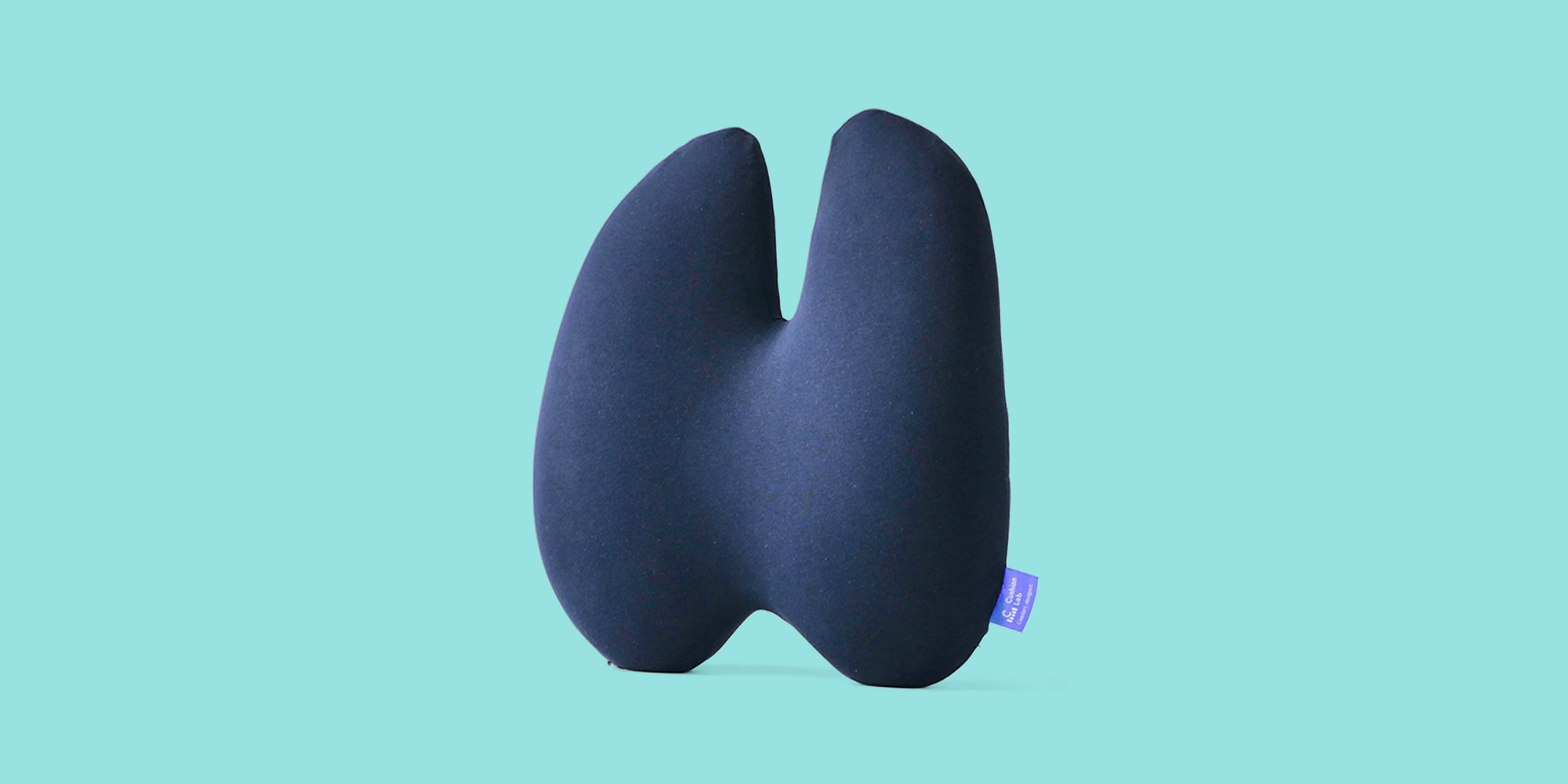 best back support cushions