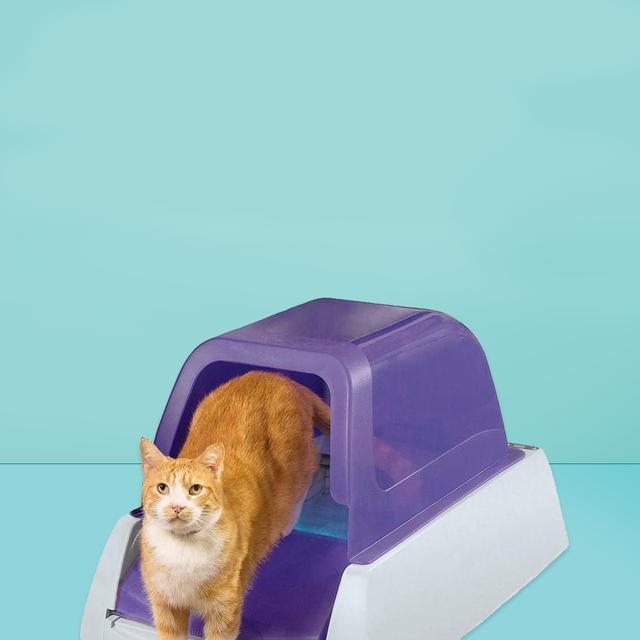 petsafe scoopfree ultra self cleaning cat litter box
