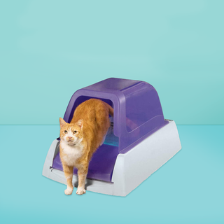petsafe scoopfree ultra self cleaning cat litter box