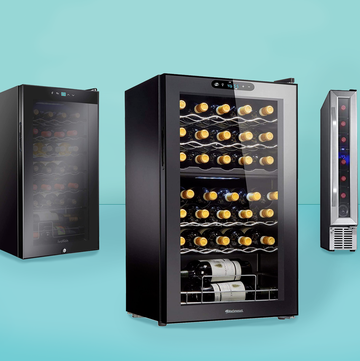 10 best wine fridges and coolers of 2021, according to pros
