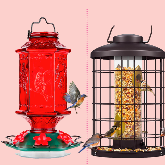 Bird Feeders Squirrel Proof With Strong Suction Cups Clear Window Bird  Feeder With Strong Suction Cups Bird Feeding Stations For The Garden Heavy  Duty