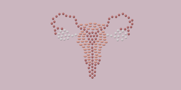 facts about fibriods