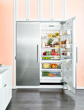 best builtin fridge