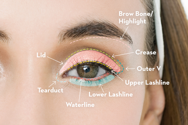 how to apply makeup on eyes step by step guide