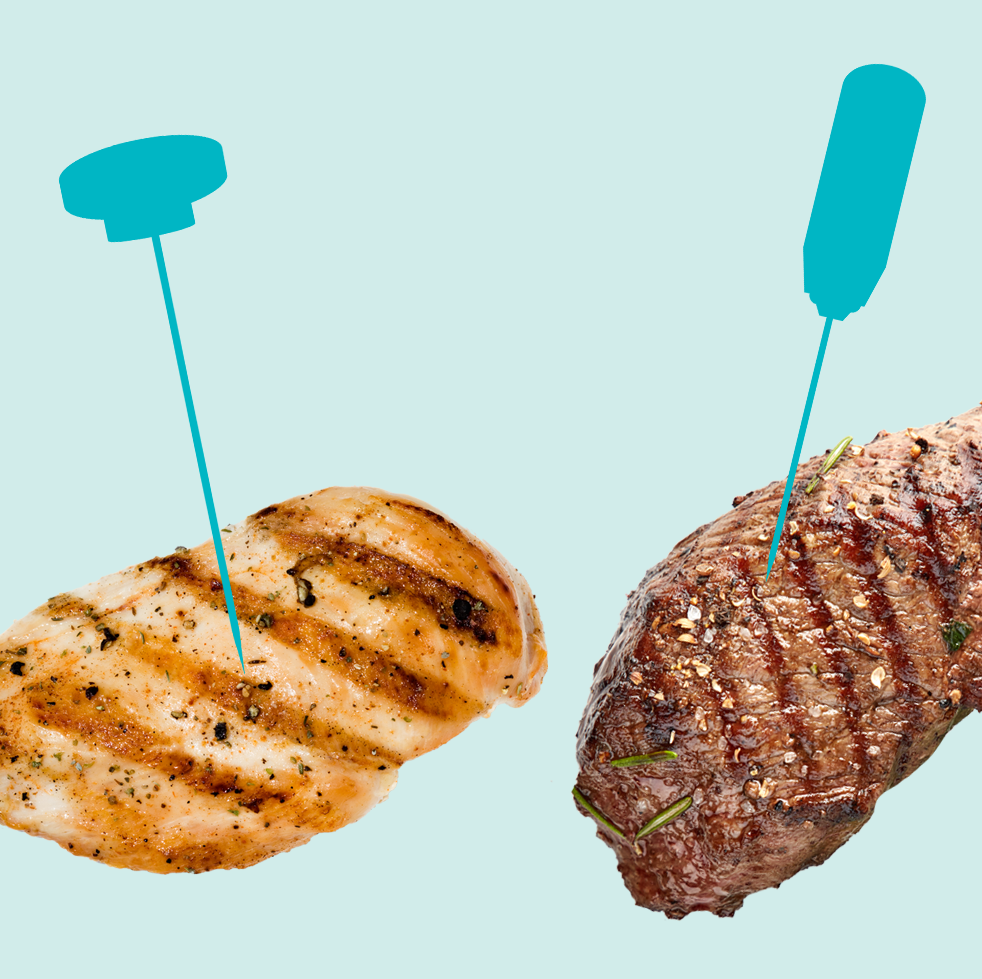 https://hips.hearstapps.com/hmg-prod/images/gh-how-to-use-a-meat-thermometer-1597855343.png?crop=0.491xw:0.979xh;0.263xw,0.0207xh&resize=1200:*