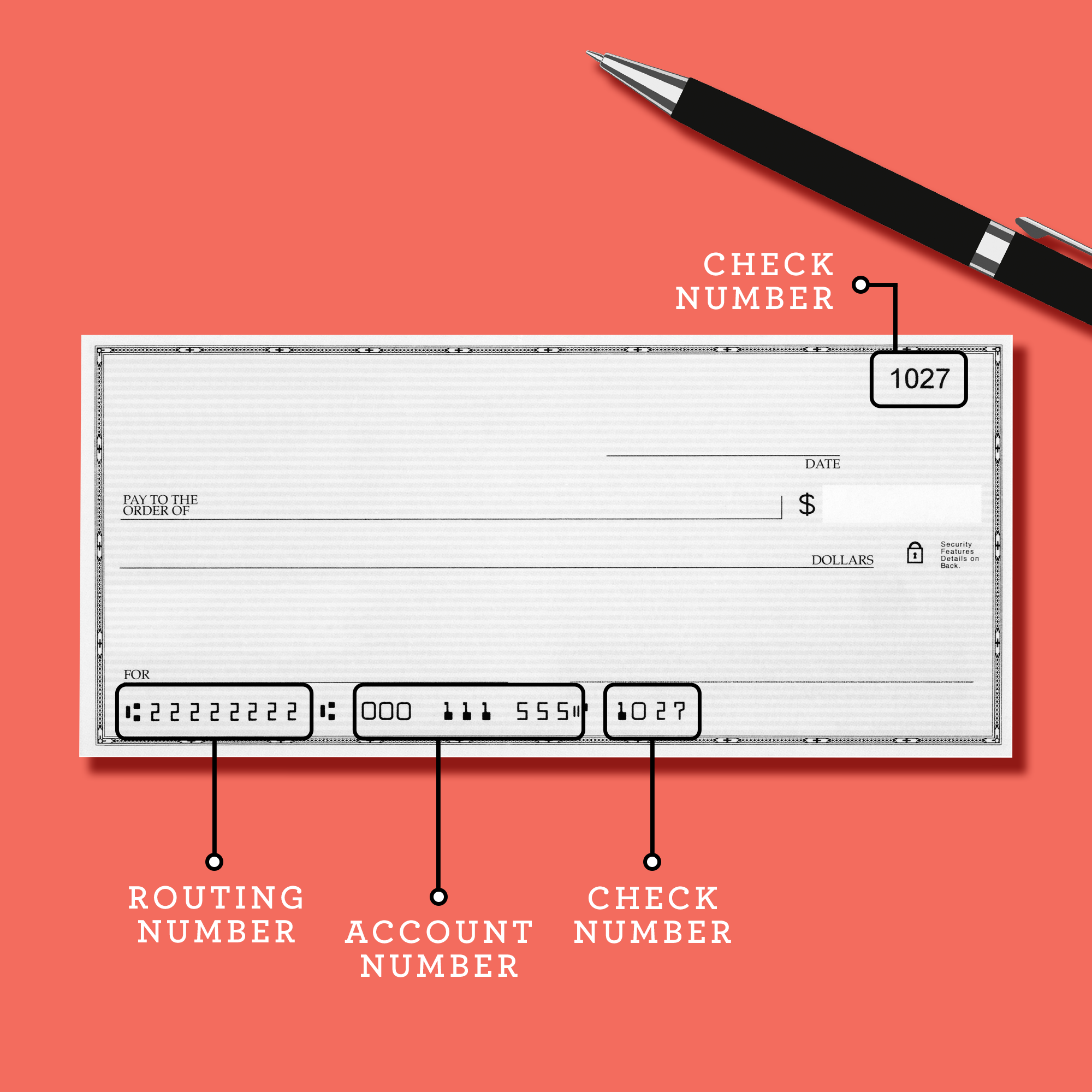 How to Write a Check: Step-by-Step Guide (With Photos)