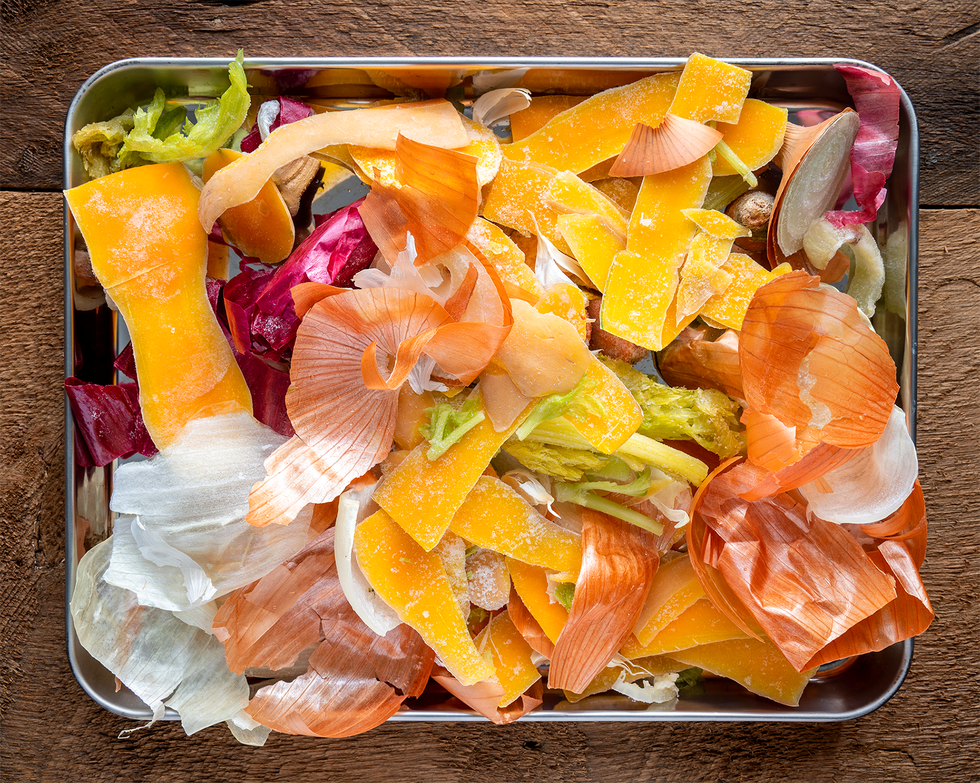 food scraps