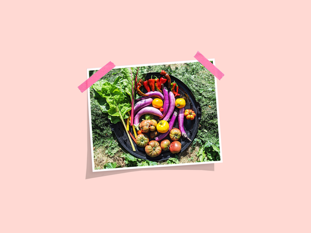 how starting a garden helped me grieve