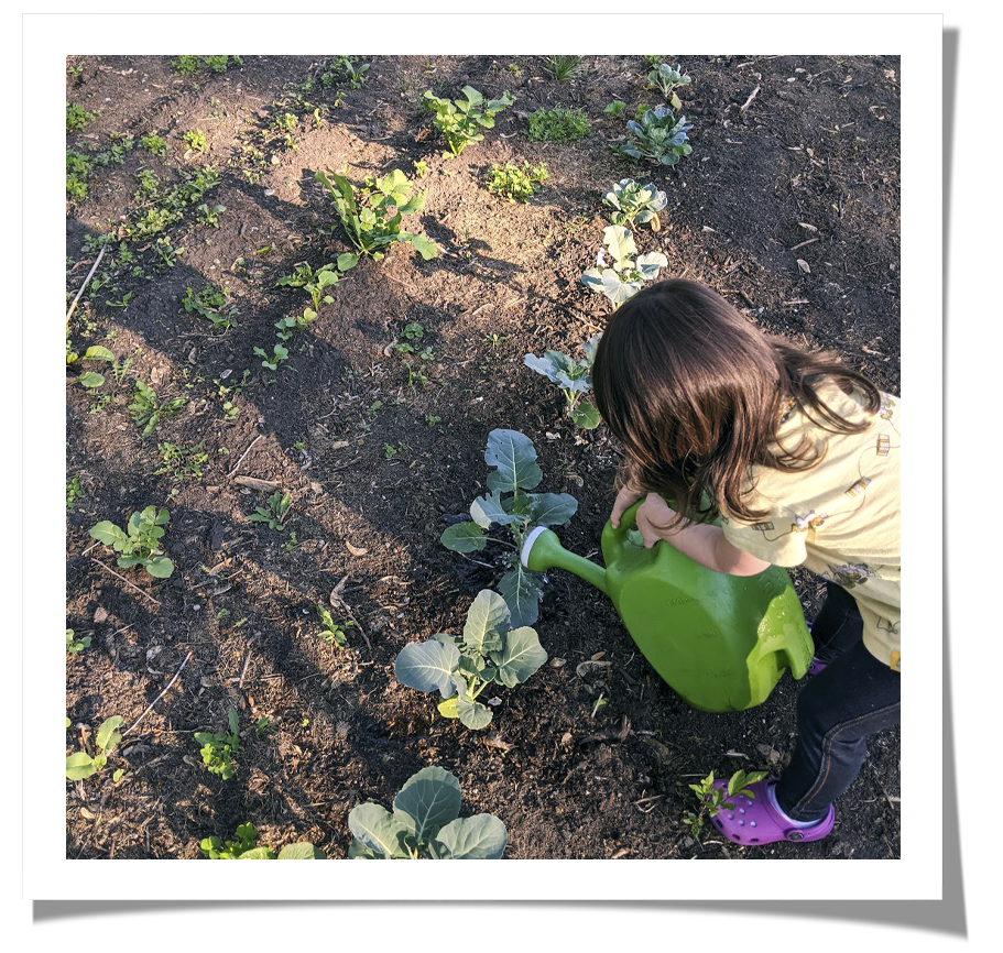 how starting a garden helped me grieve