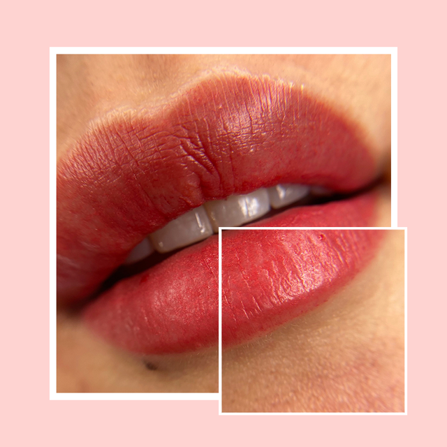 A User's Guide To Neutral Blush - Into The Gloss