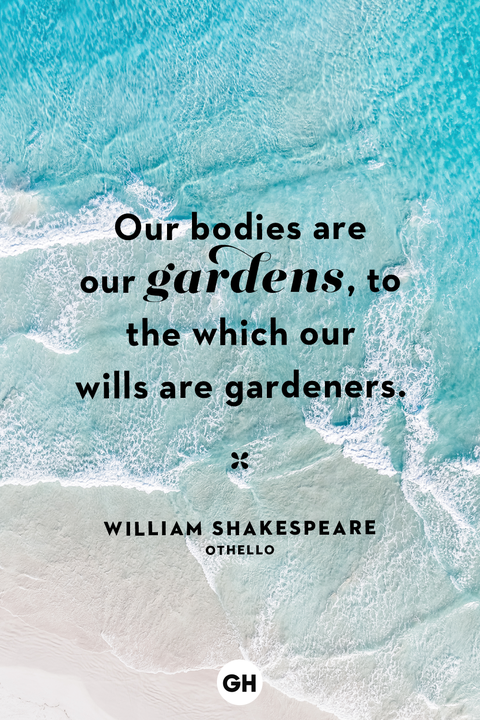 Best Self Care Quotes - William Shakespeare