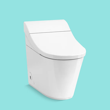 best smart toilet
