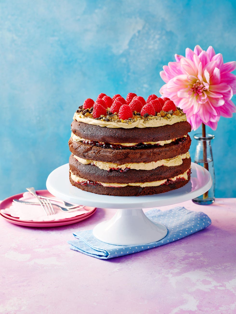 chocolate peanut butter cake