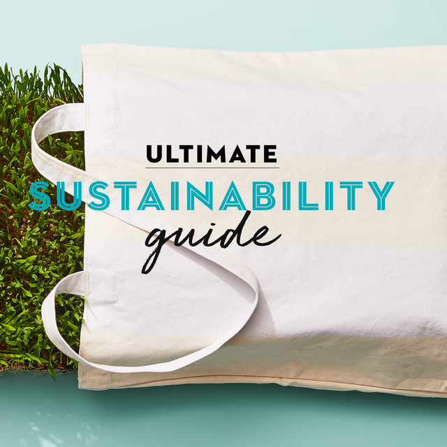 how to be more green — our beginner's guide to sustainable living