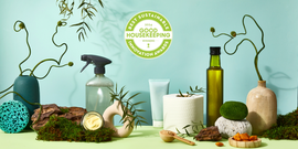sustainable innovation awards