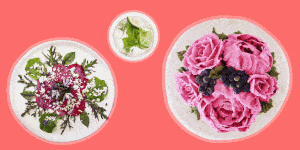 Plate, Pink, Dishware, Petal, Flower, Plant, Platter, Tableware, Dish, Cuisine, 