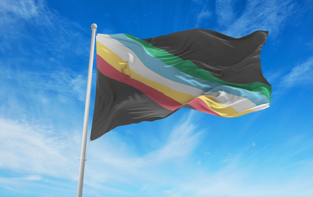 disability flag on a flag pole waving in the wind against a blue sky with faint blue clouds