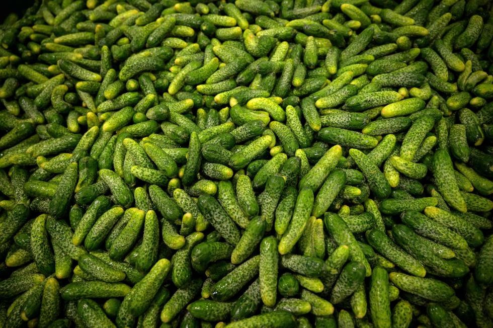 pickles