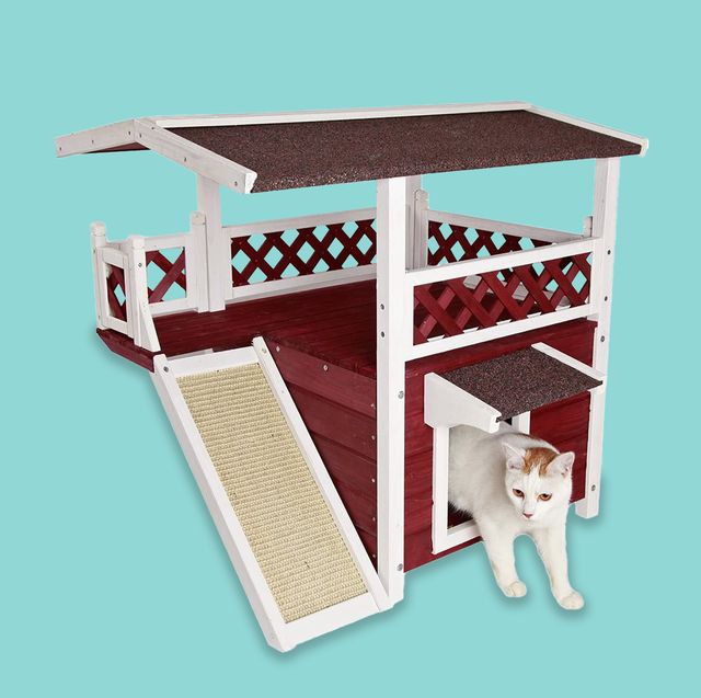  Ciokea Outdoor Cat House Weatherproof,Feral Cat House  Enclosures with Insulated All-Round Foam Wooden Cat Condos for Winter  Outside, PVC Door Flaps : Pet Supplies