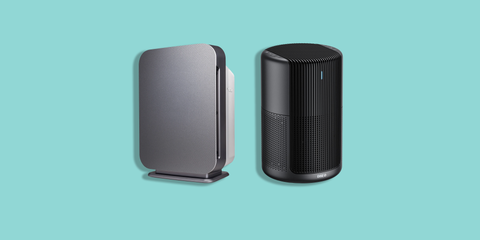 6 best air purifiers for pets, tested by experts