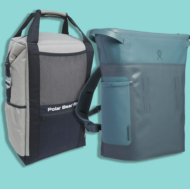 Best Ice Packs for Coolers of 2023