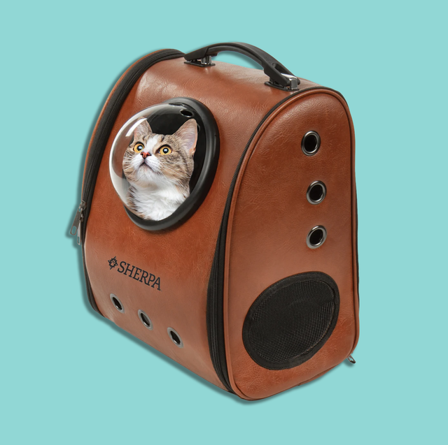 best cat carriers