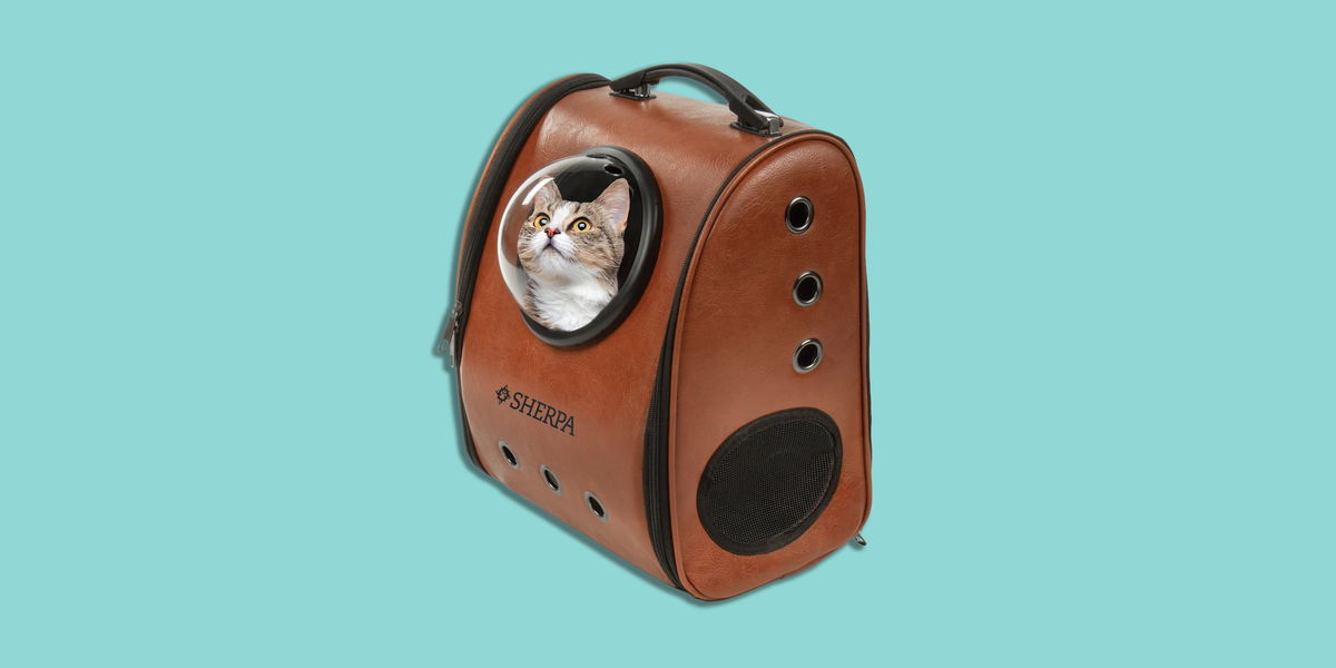 Cat Backpack Carrier Cat Travel Outdoor Shoulder Bag For - Temu