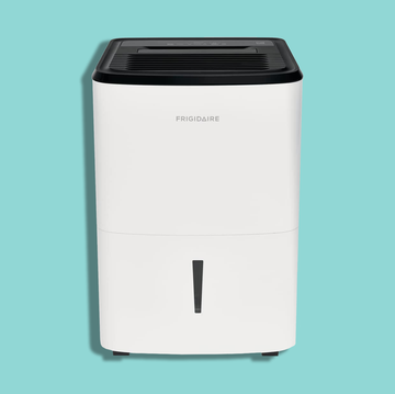 3 best small dehumidifiers to keep your space dry
