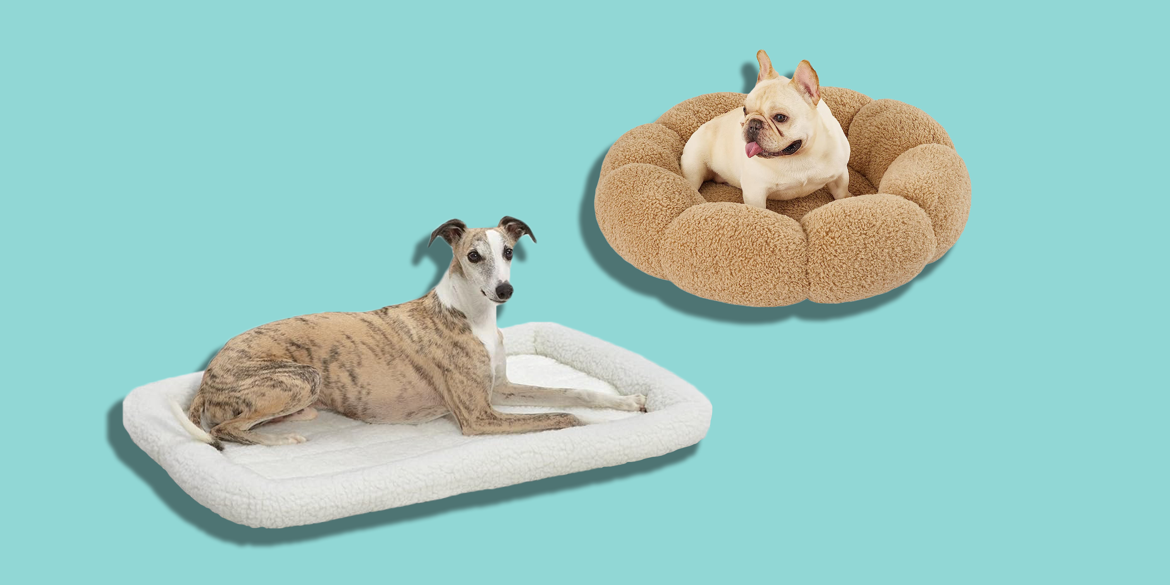 Let Your Pup Lounge in Style: Our Top Picks for the Best Outdoor Dog B
