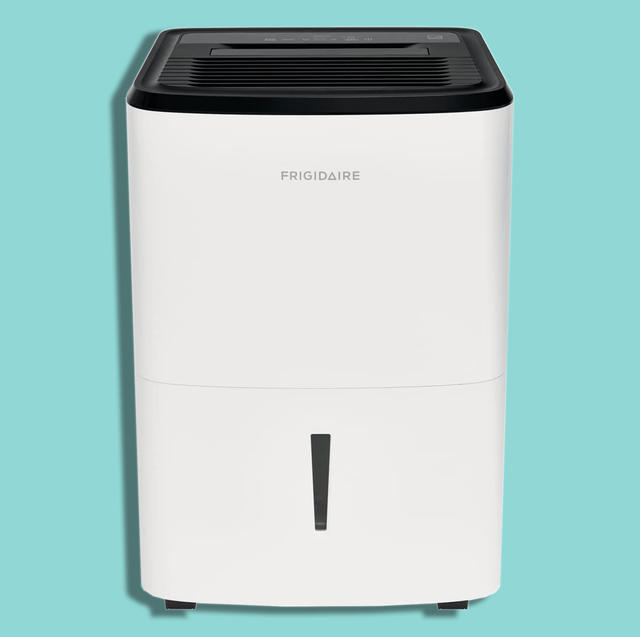 Pick Up This Top-Rated Dehumidifier For Less Than $60 on