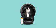 3 best automatic selfcleaning litter boxes to keep your cat happy