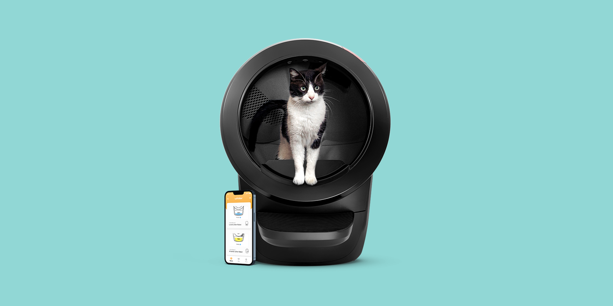 Cat Sifting Litter Box - Small Pet Select U.S.