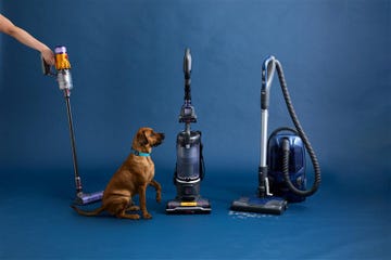 best vacuums for pet hair