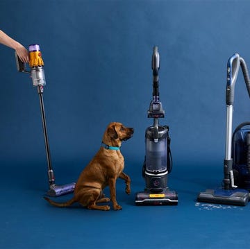 best vacuums for pet hair best vacuums for pet hair