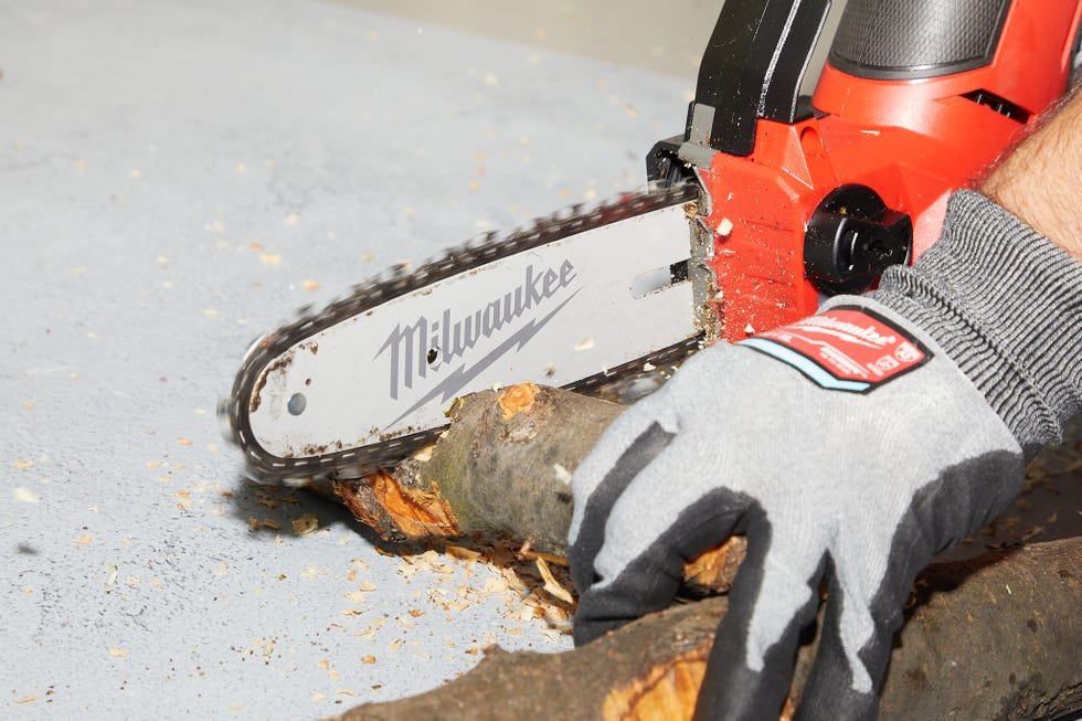 an expert uses a min chainsaw to cut through a branch during testing