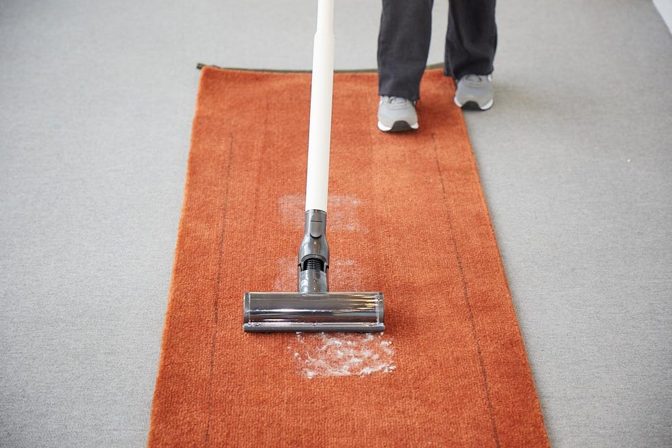 best dyson vacuums cleaning pet hair from a carpet