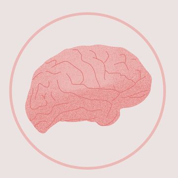 Brain, Head, Organ, Brain, Illustration, Diagram, Logo, 